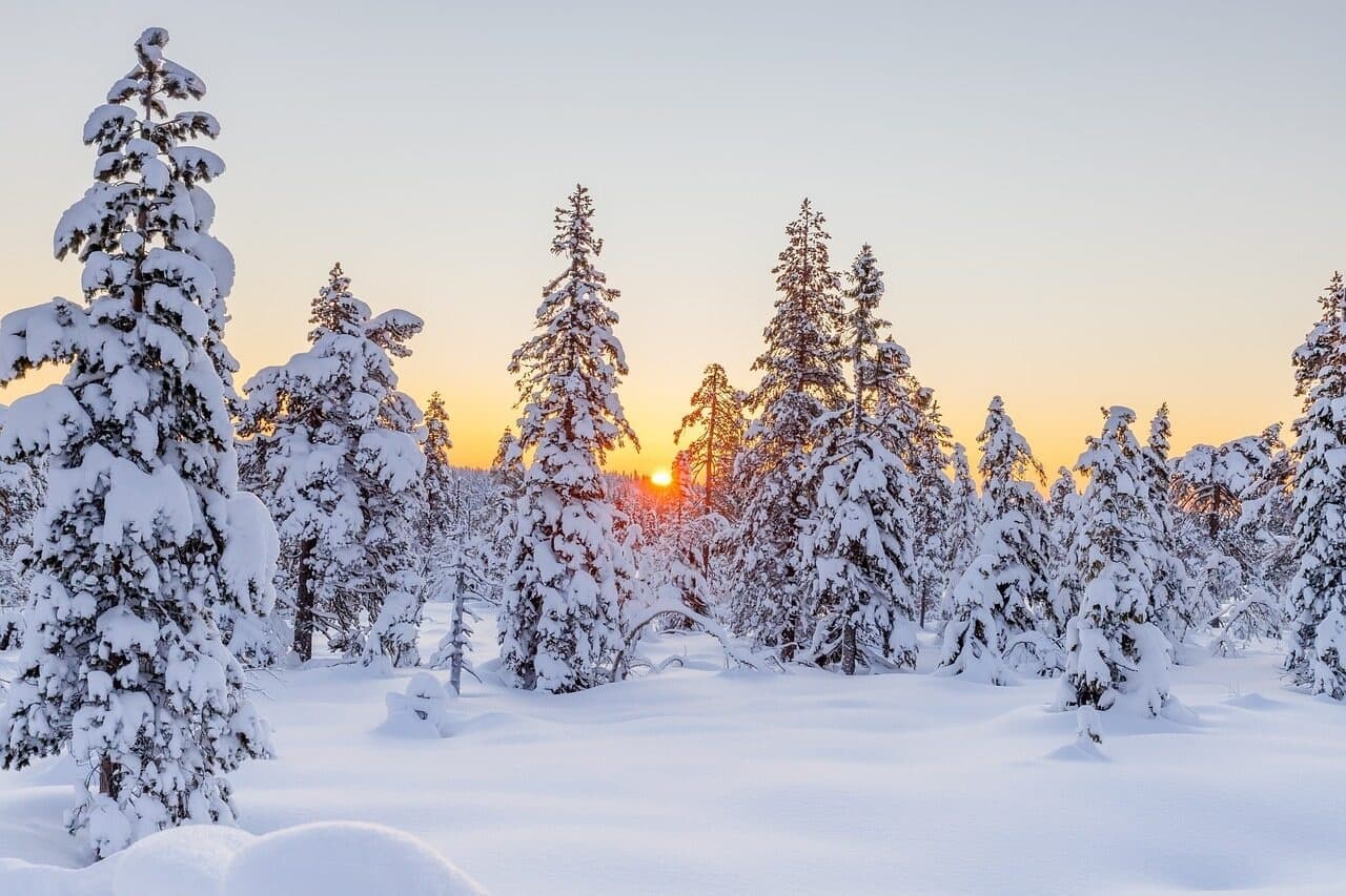 Cross country skiing