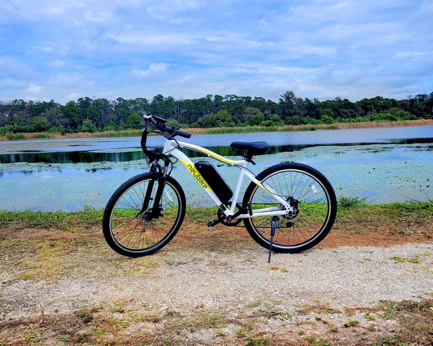 Men's eBike