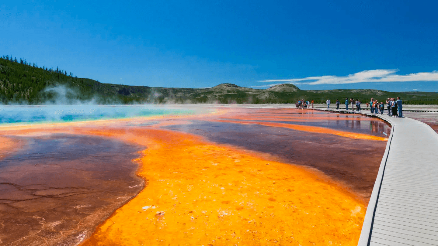 Best of Yellowstone NORTH - Public Tour