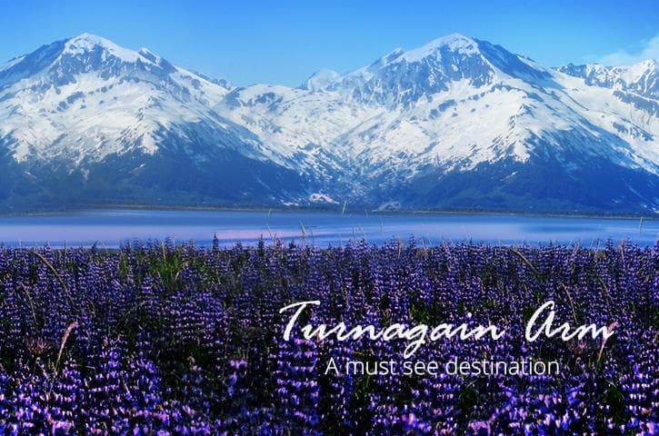 Stunning All-Inclusive Scenic Turnagain Arm Tour