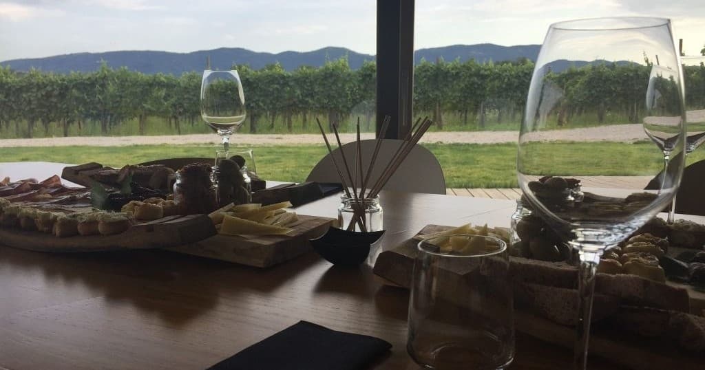 Wine Tasting Day Trip from Ljubljana
