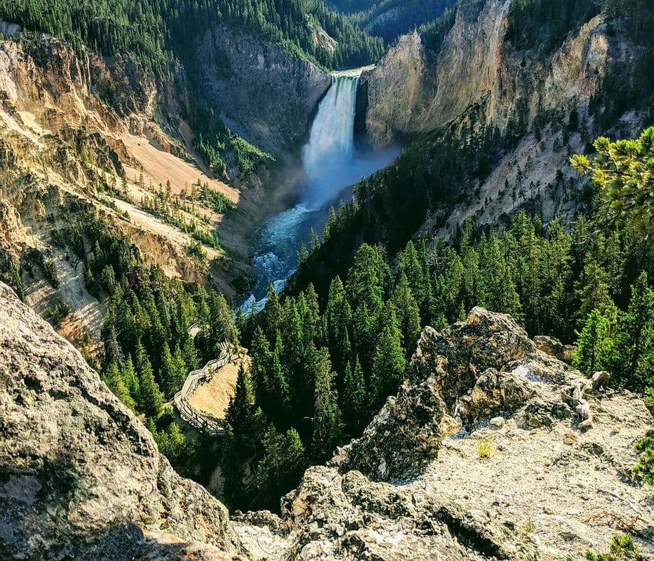 Private Teton/Yellowstone Photography & Wildlife Tour