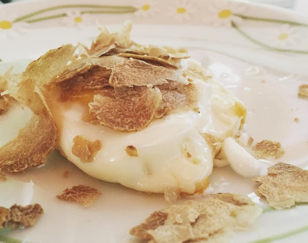 Ricerca del tartufo da Torino con Pranzo