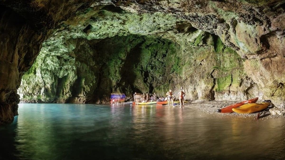 Descobreix la Cova del Llop Marí - Hospitalet amb Barca i Snorkel