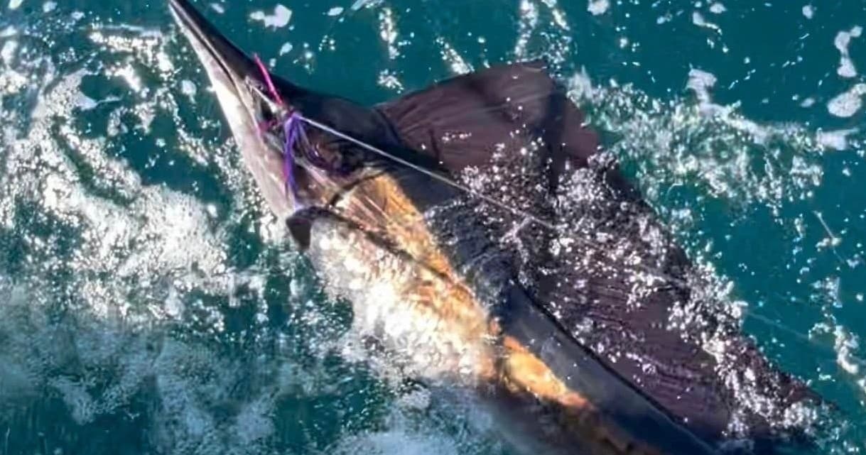 Private Offshore Fishing Charter