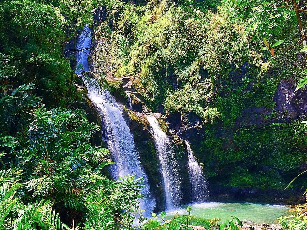 Road to Hana Rainforest Tour