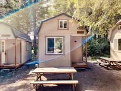 Birch Camping Cabin