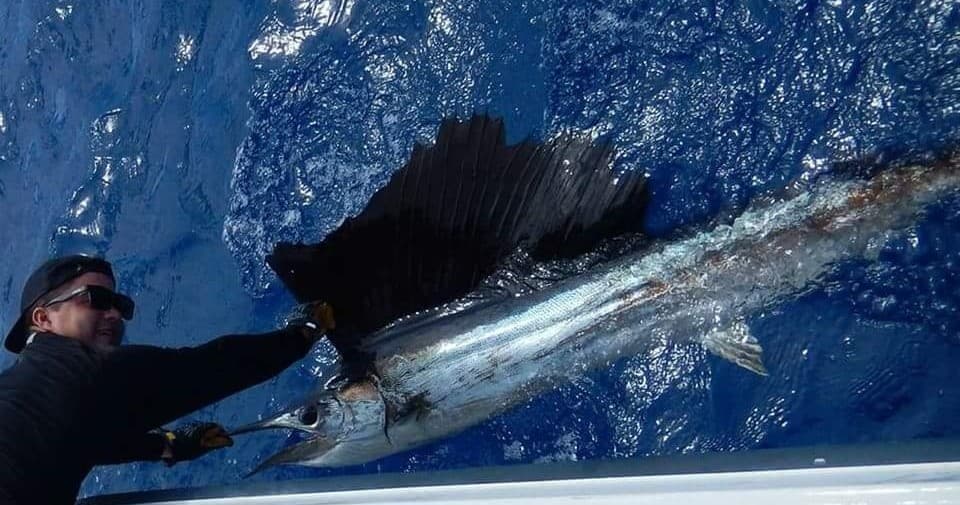 Offshore/Reef Fishing