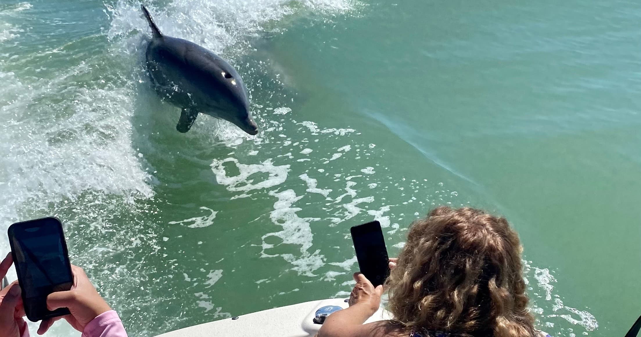 Private Shelling & Dolphin Excursion