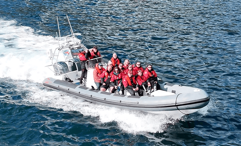 Achill Sea Safari Tour