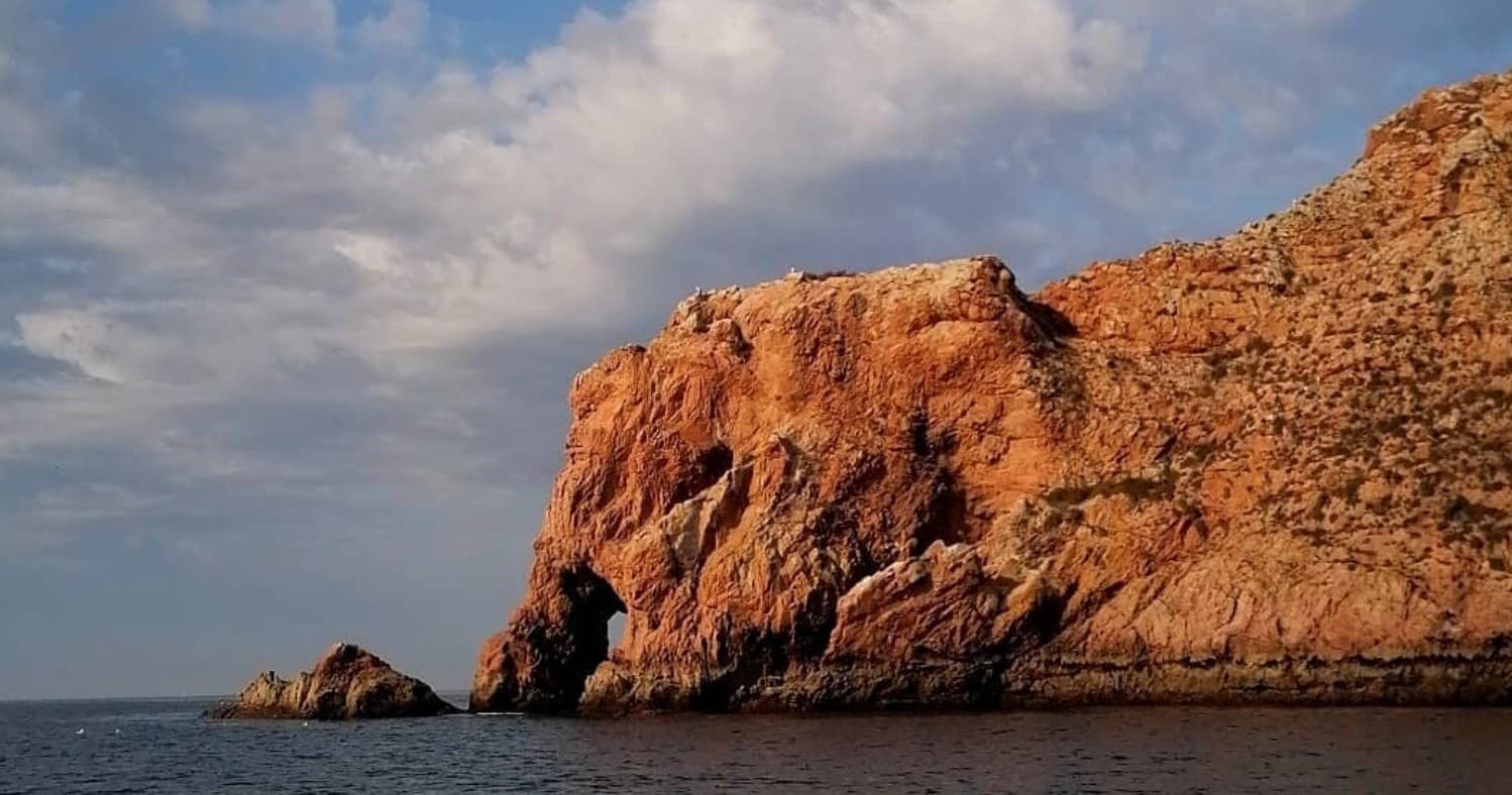 Ida e Volta às Berlengas + Passeio às Grutas + Passeio Pedestre