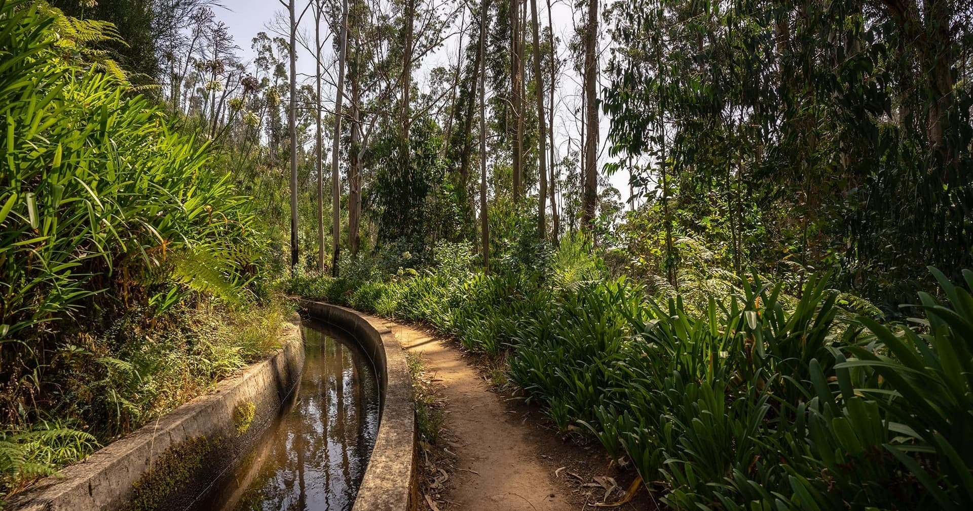 Levada dos Prazeres – Ponta do Pargo