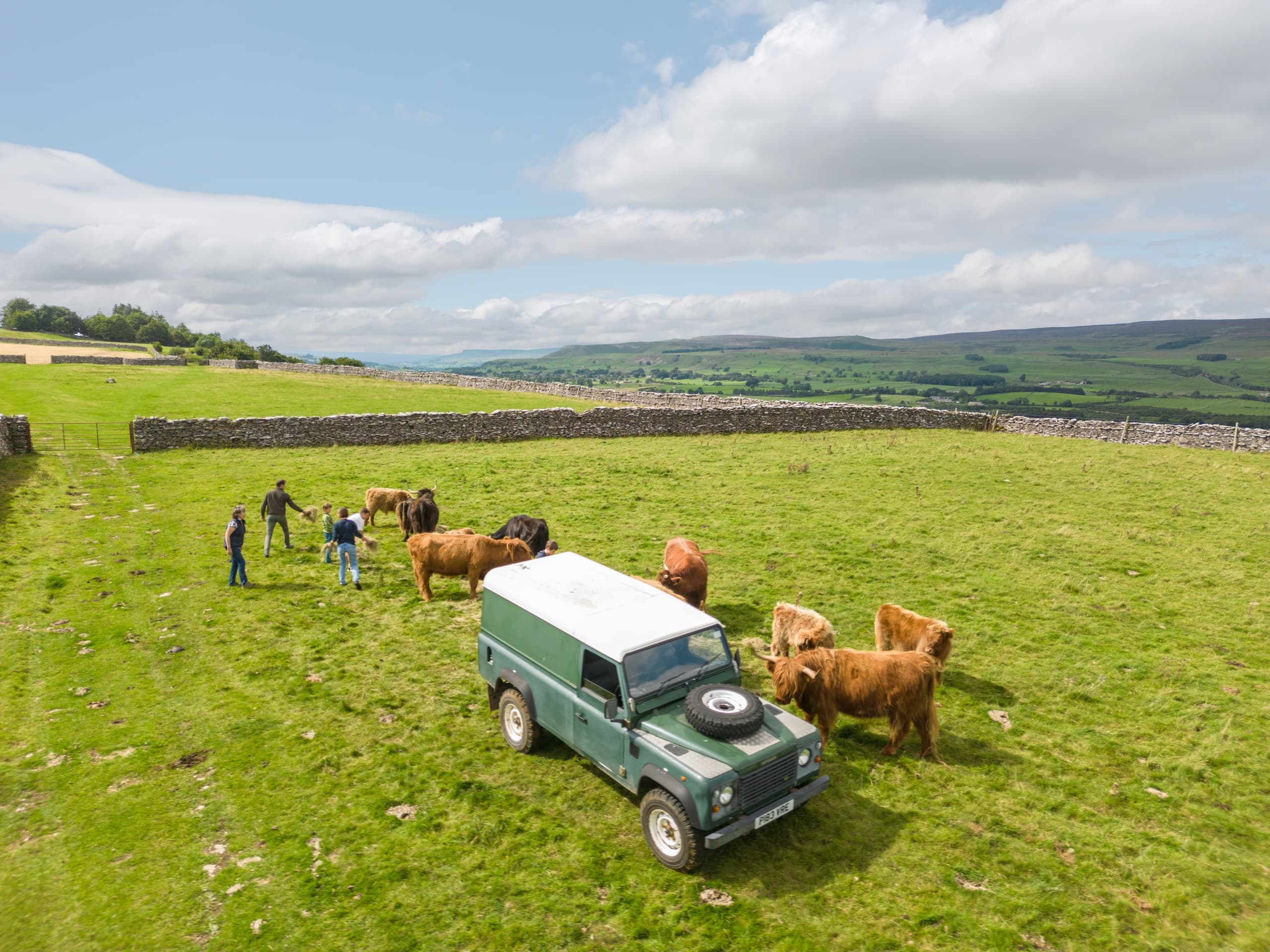 Farm Experience