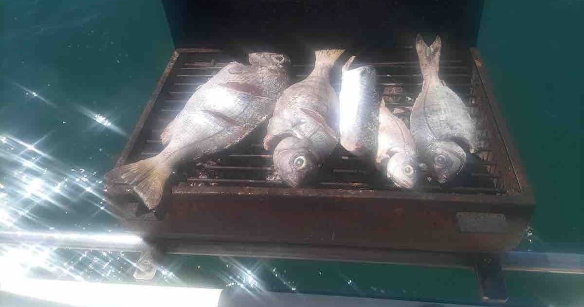 1/2 Day Fishing