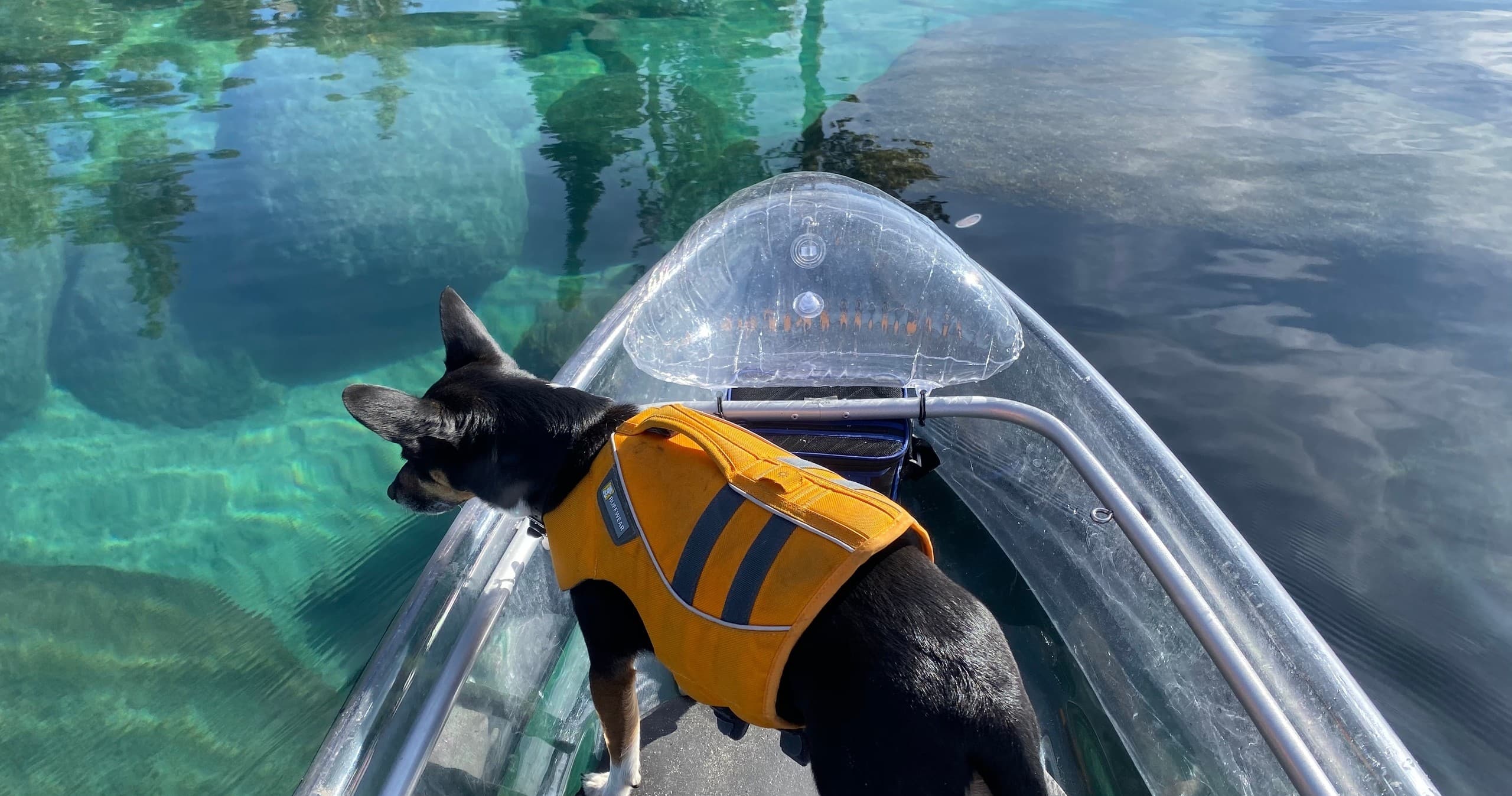 Scenic Shoreline Tour