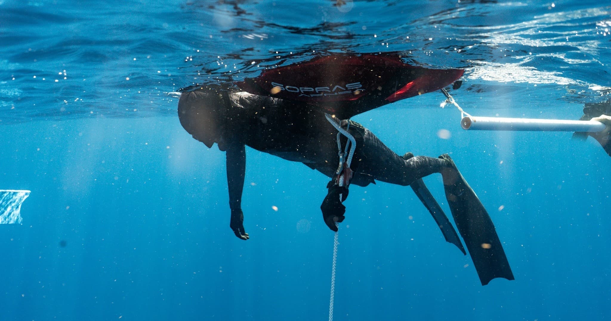 Freediving Trips