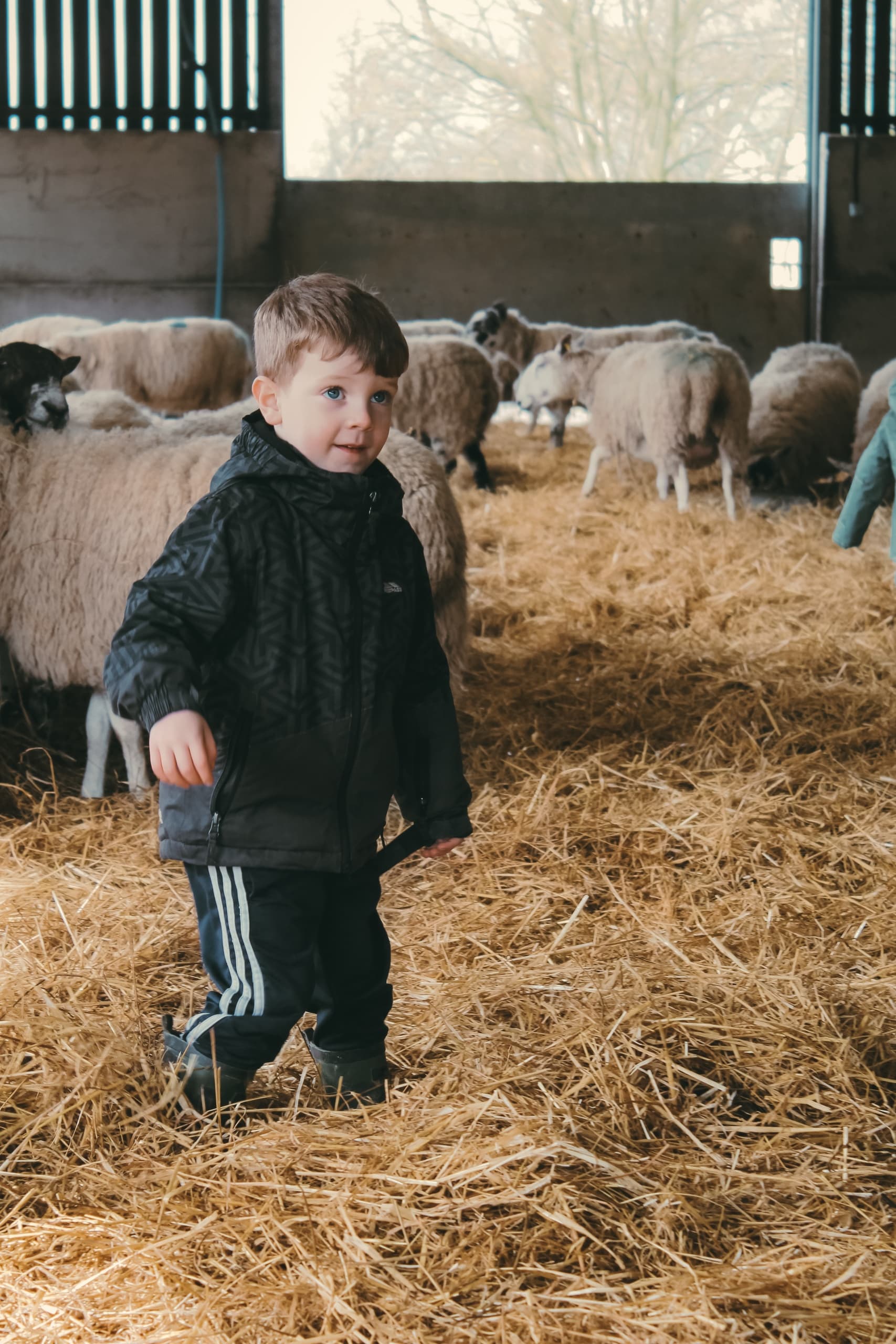 Farm Tour