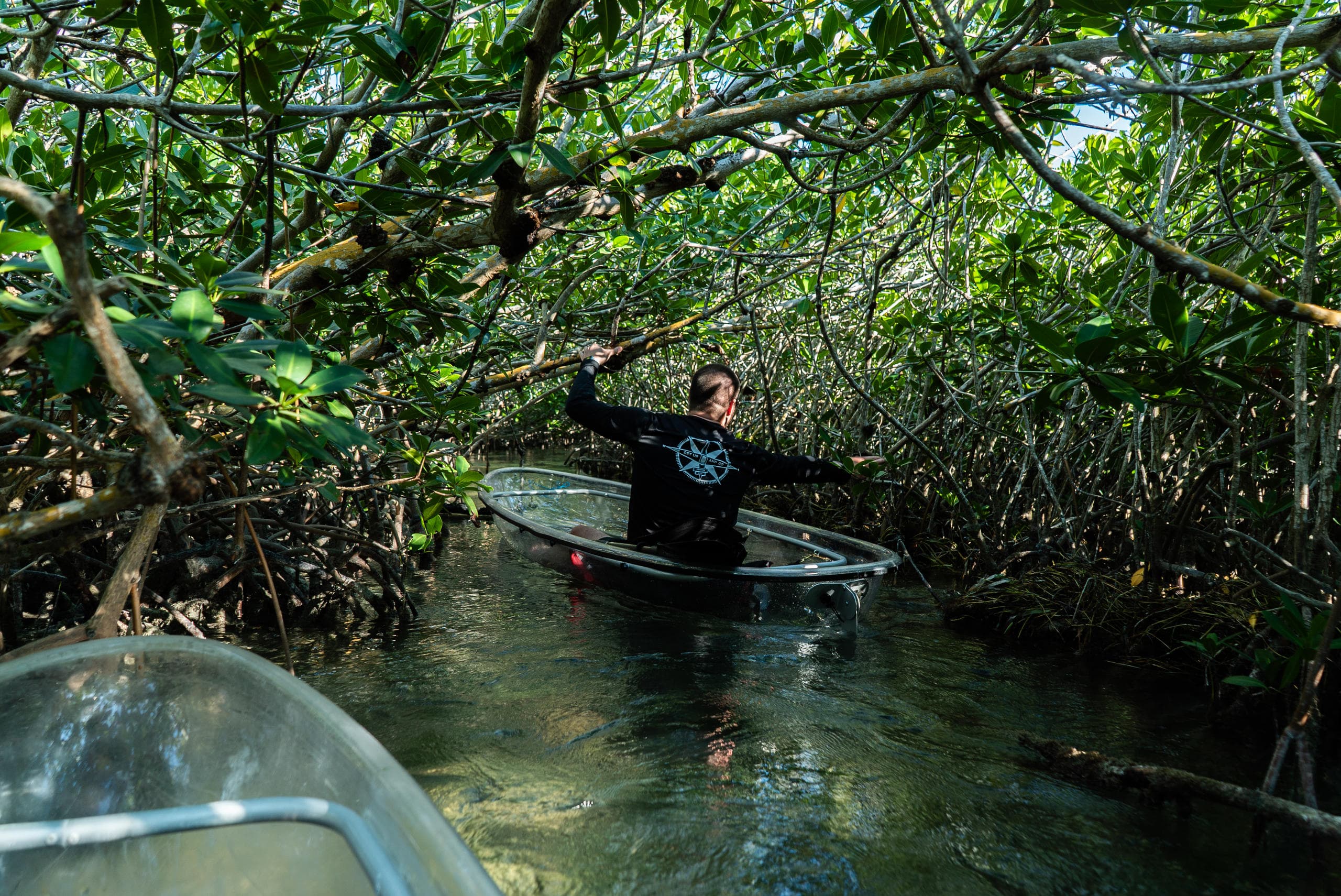 Clear Kayak Tour of Sugarloaf Key