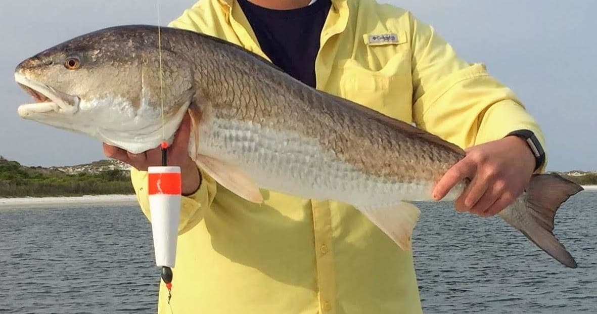 3 Hour Grass Flat & Dock Fishing