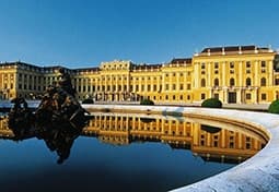Private Schönbrunn palace by Minivan or Limousine