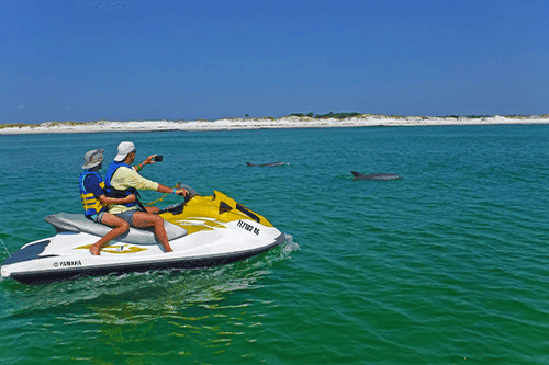 Sea-Doo Guided Dolphin Tour