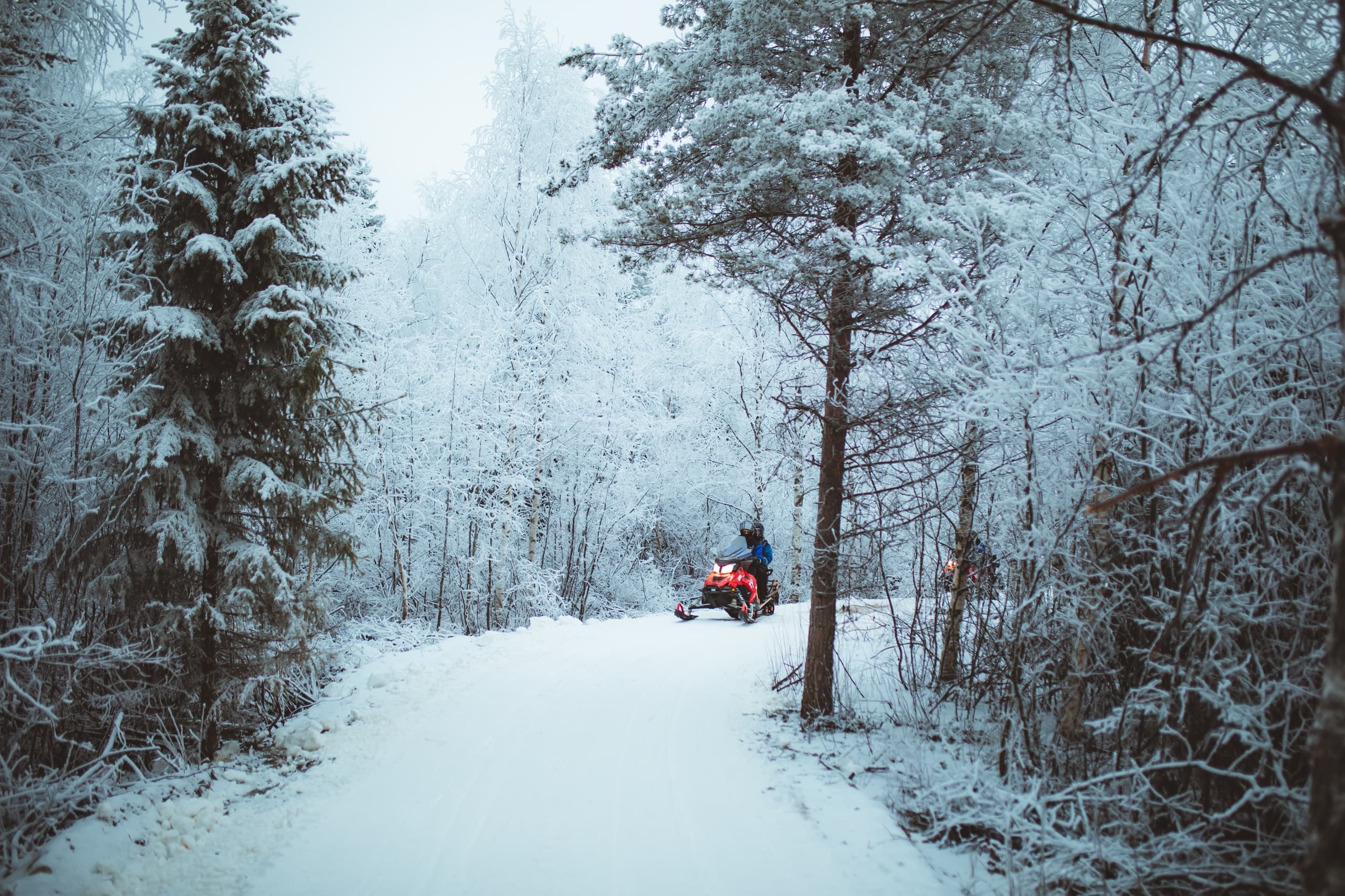 Early Winter Snowmobile Safari 2 Hours