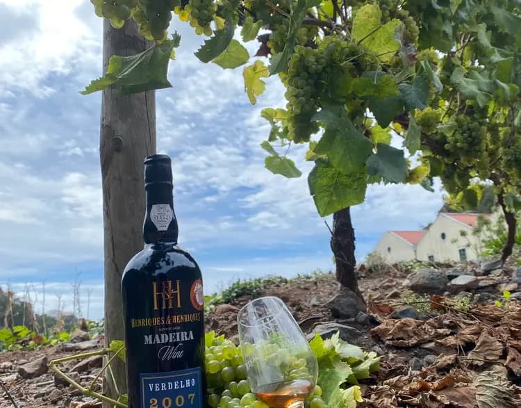 Tour Gastronomico per croceristi Madeira