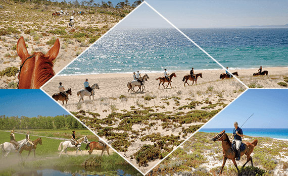 HORSES ON THE BEACH 4/5 HOURS