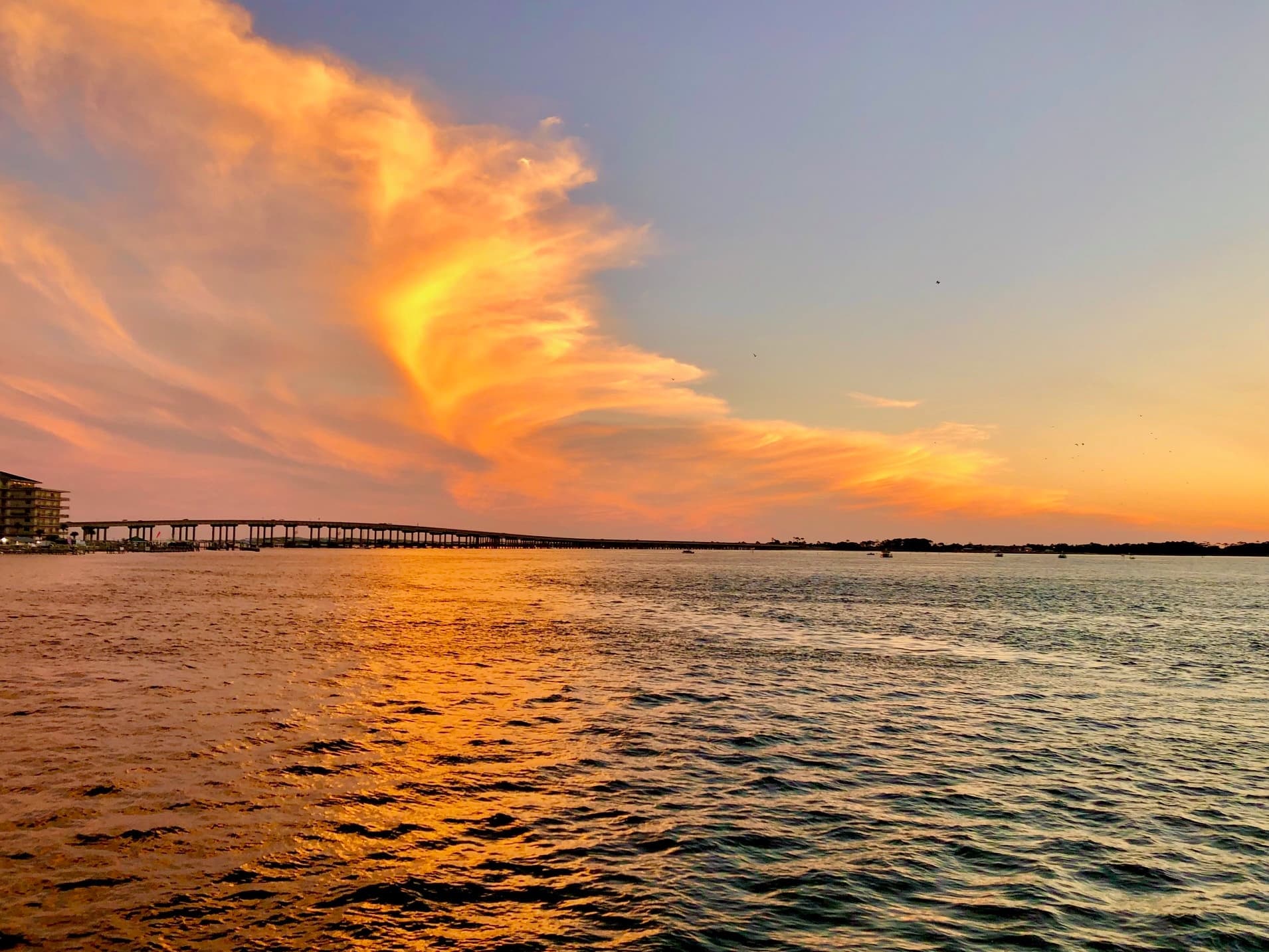 Sunset Party Cruise • 1.5hr • Public