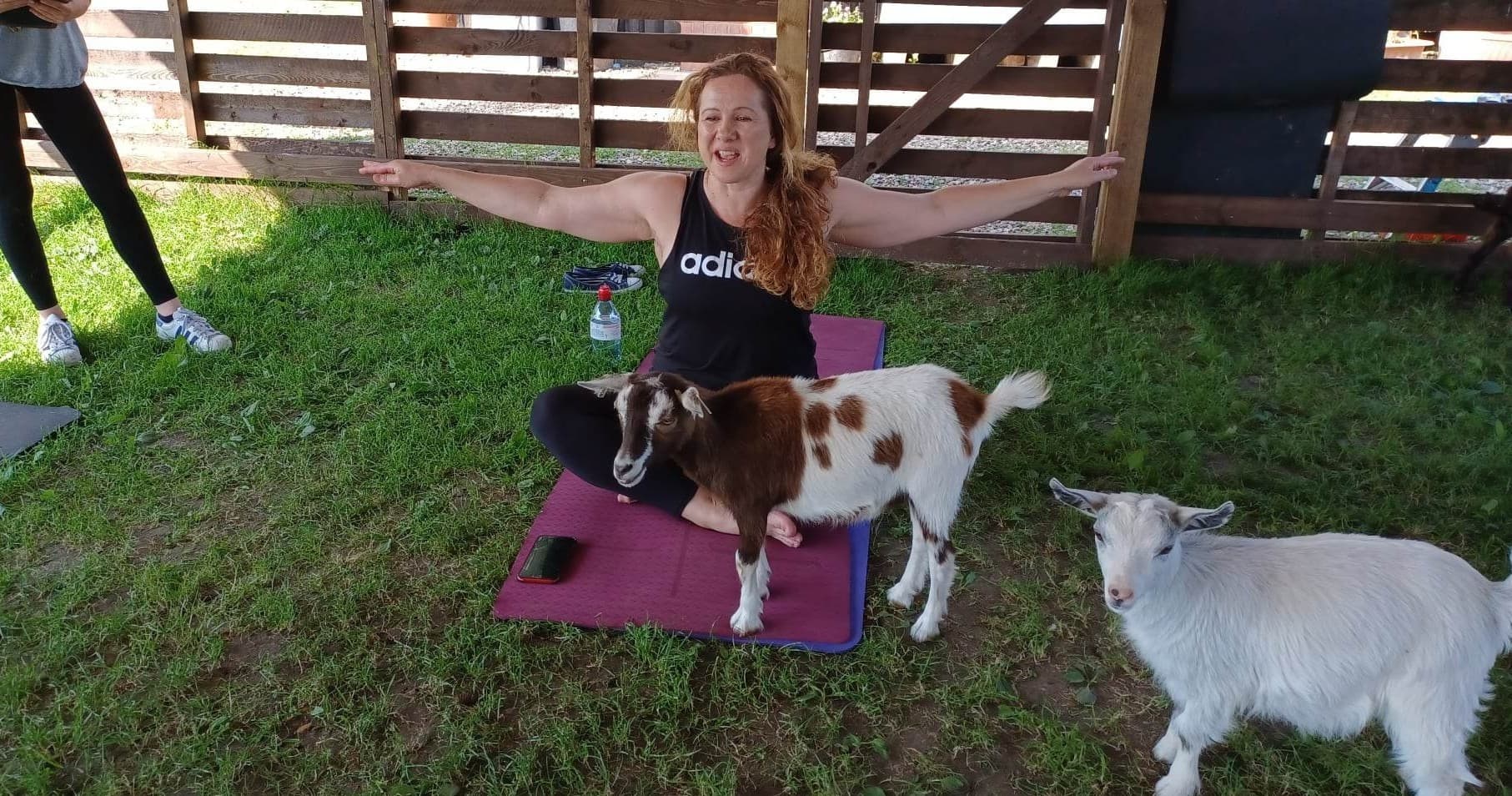 Pygmy Goat Yoga or Pilates