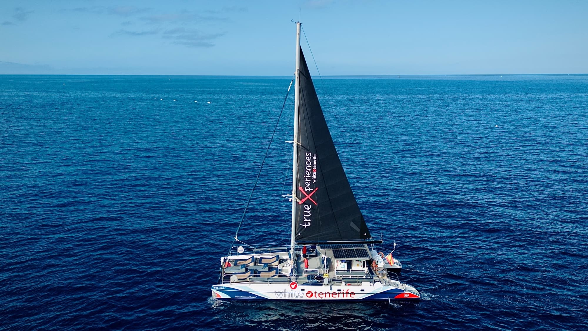 Avistamiento y escucha de ballenas y delfines en eco catamarán (5 hrs.)