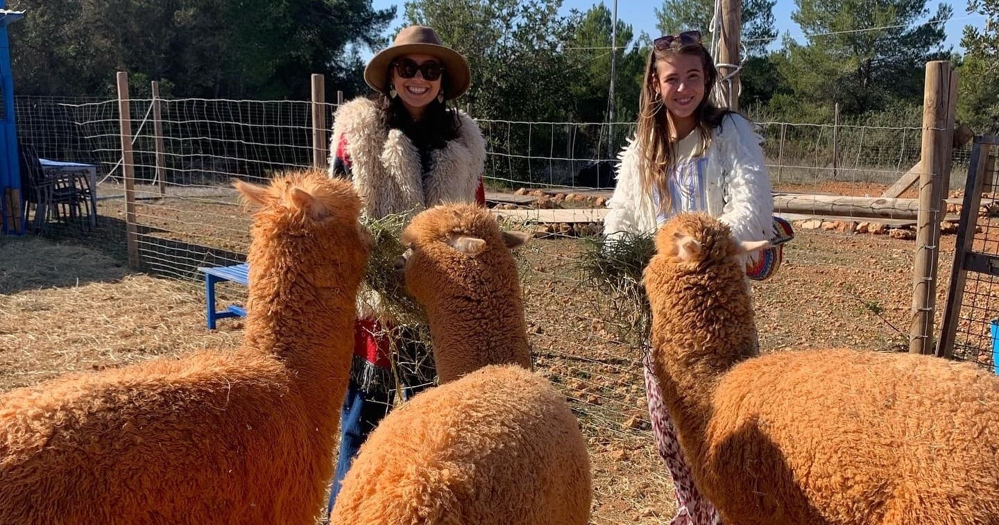 Ibiza Alpaca Experience
