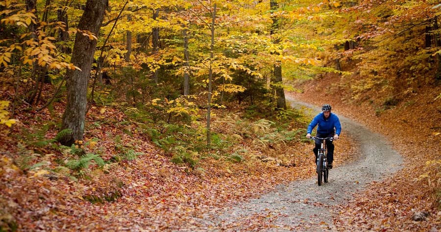 Noleggio Bici - 3 giorni