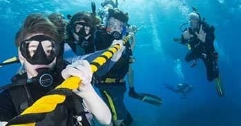 Reef Dive or Snorkel