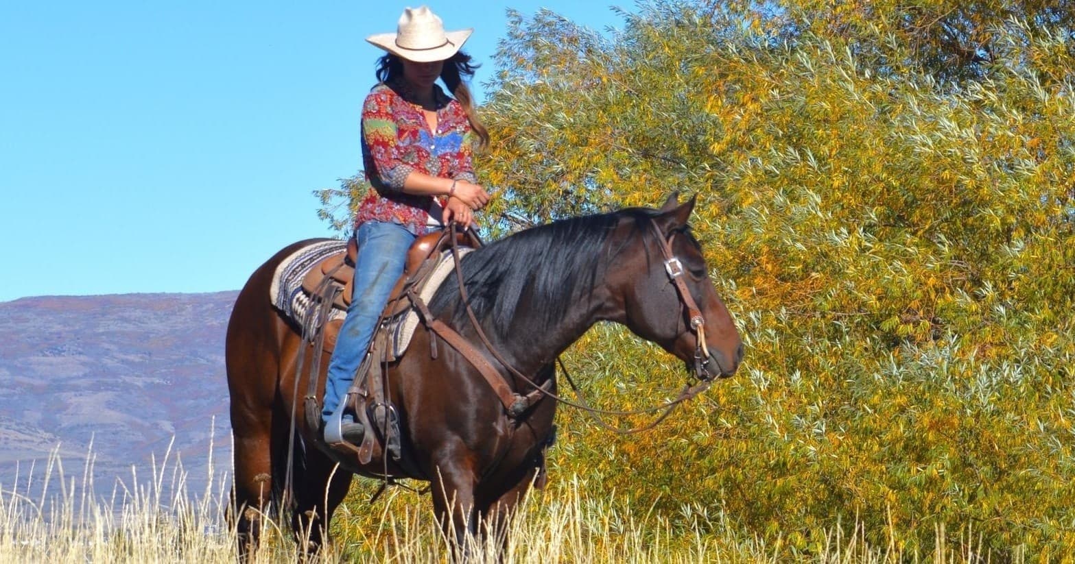 Elk Meadows Private Ride