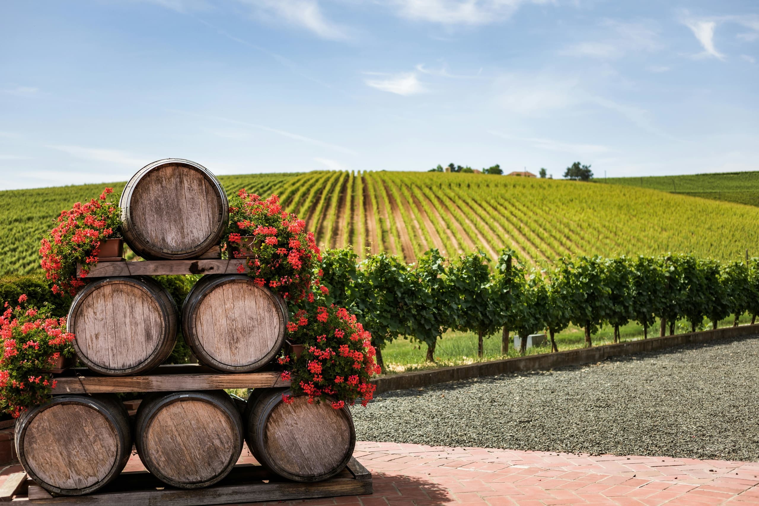 Wine Tasting in Tuscany