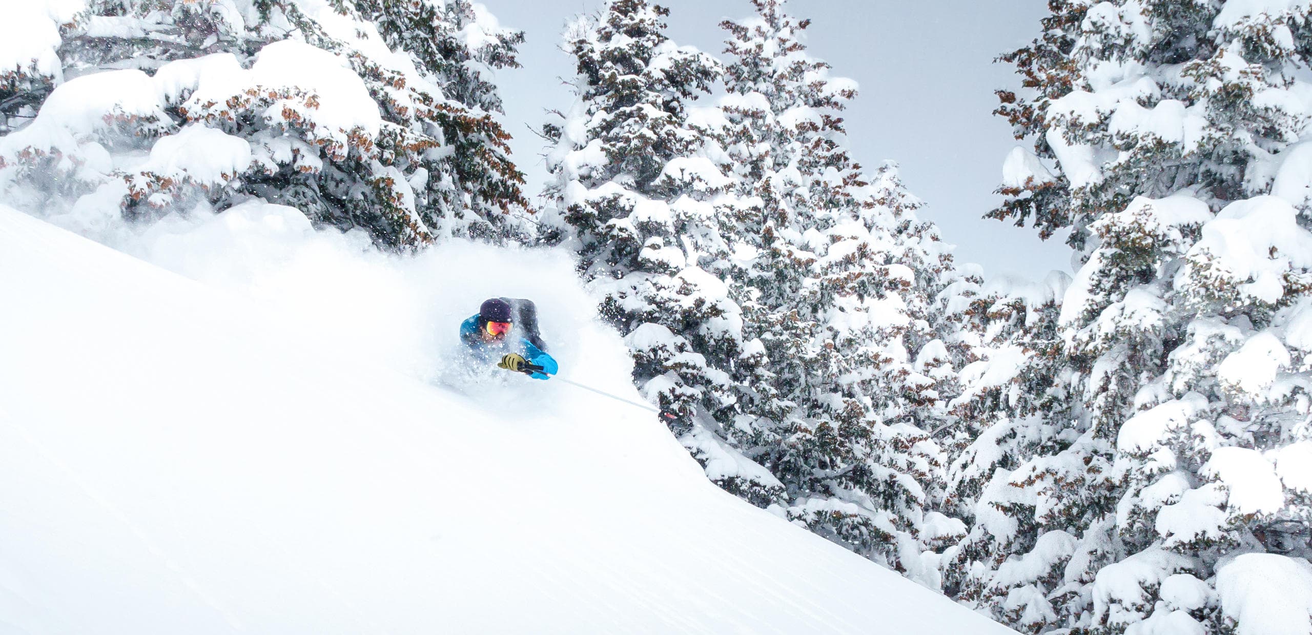 Wasatch Ski Touring  (3 Day-Trips)