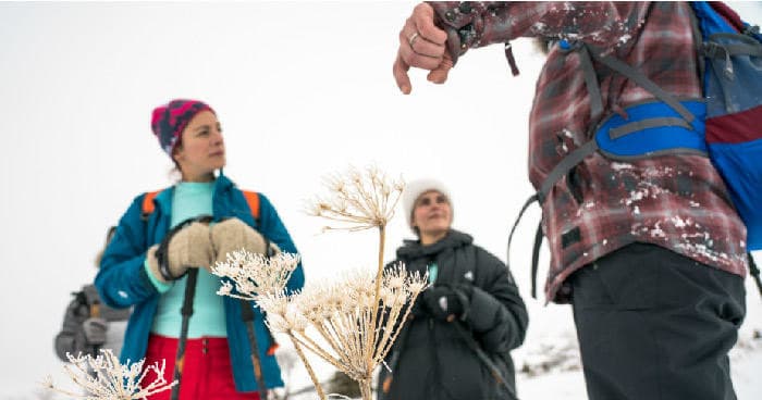 Advanced Snowshoeing Adventure