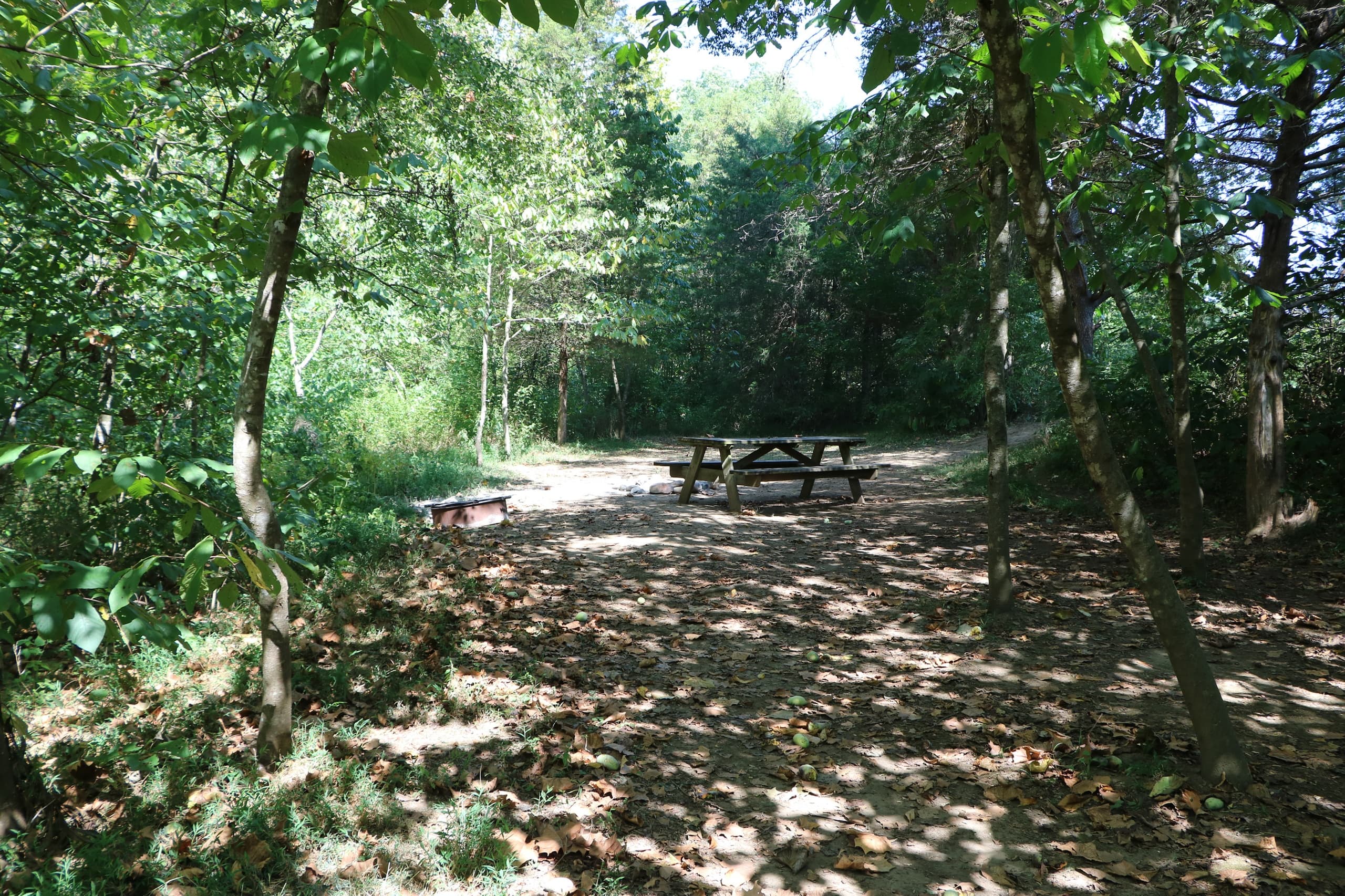Arcadia Campground - Campsite #7   (Old Site # 5)