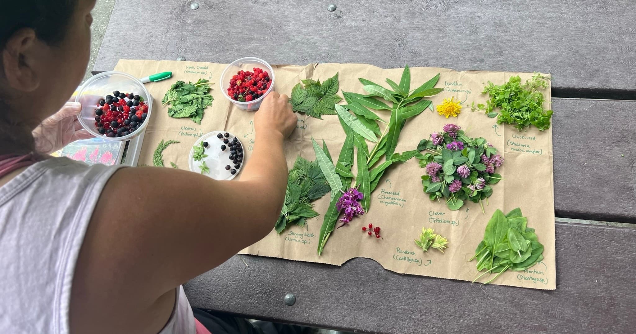 Backcountry Eats & Foraging Treats