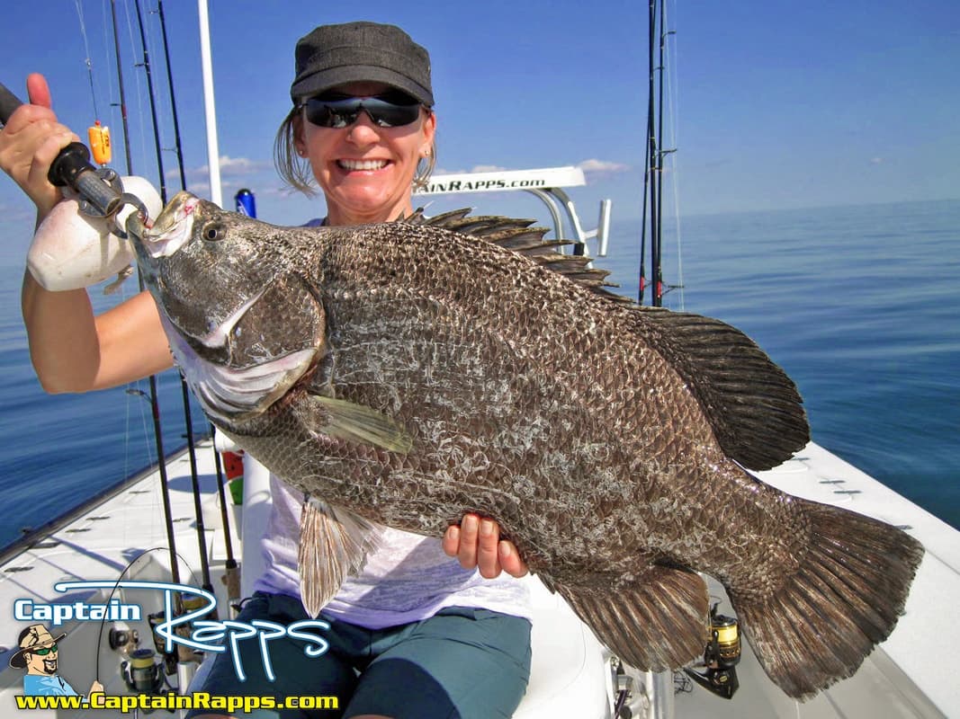 3/4 Day Wreck Fishing Charter
