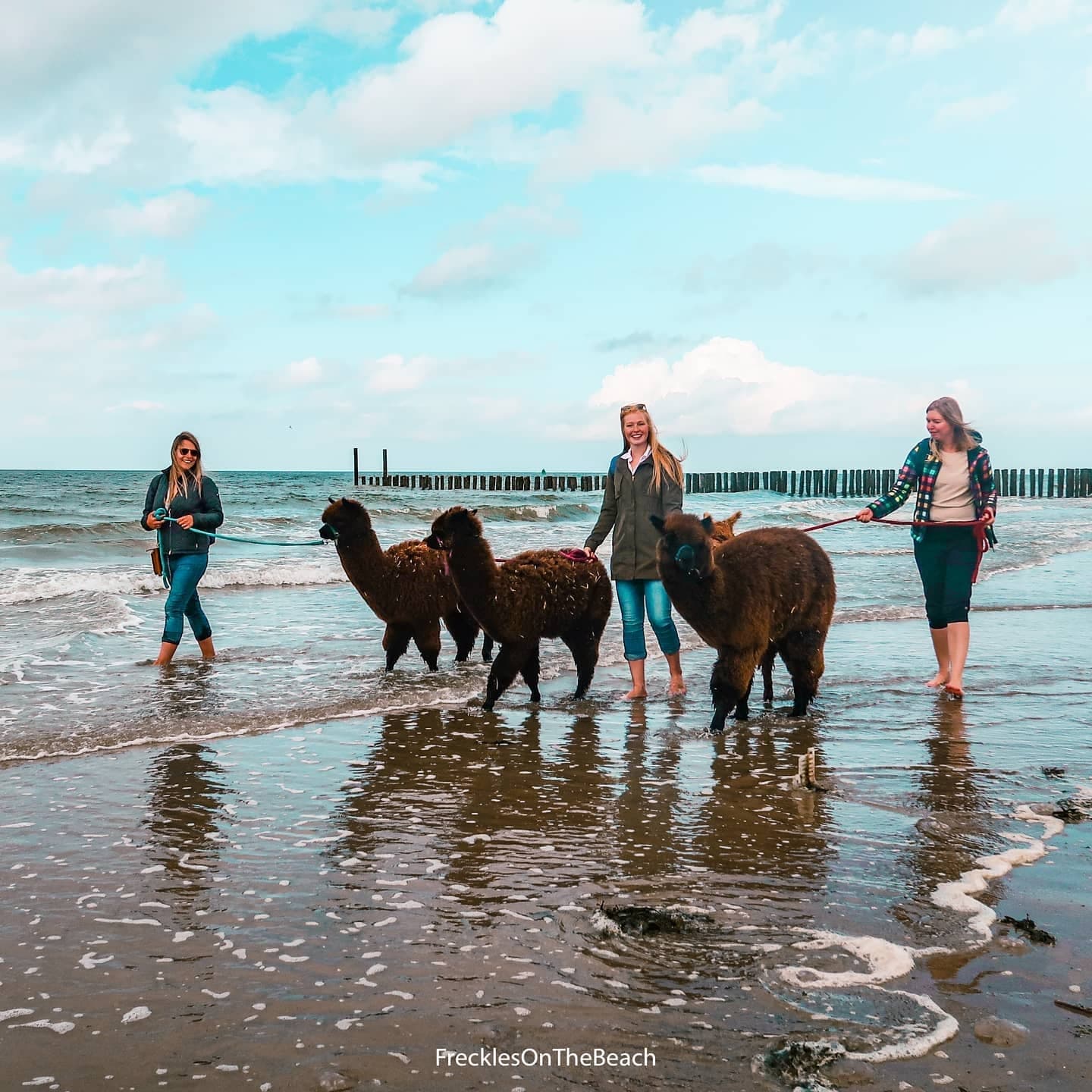 Natuur/ strandwandeling aanbetaling * Nature/ Beachwalk deposit