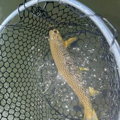 Green River Full Day