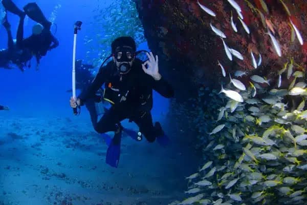 PADI Open Waters Course