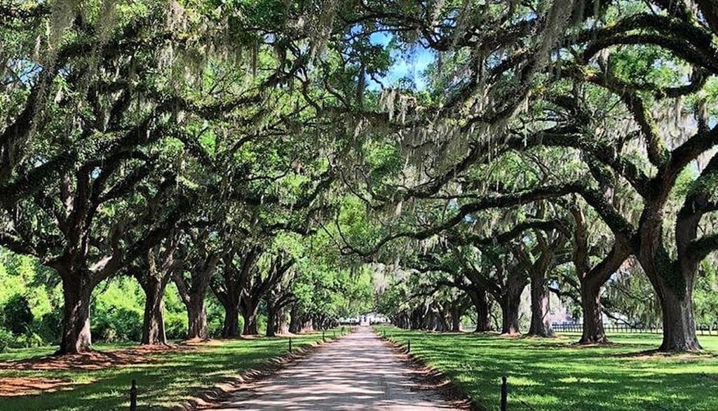 Combo: See it All City Bus Tour & Boone Hall Plantation Tour