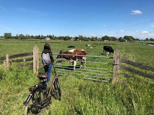 Tour privado por el campo