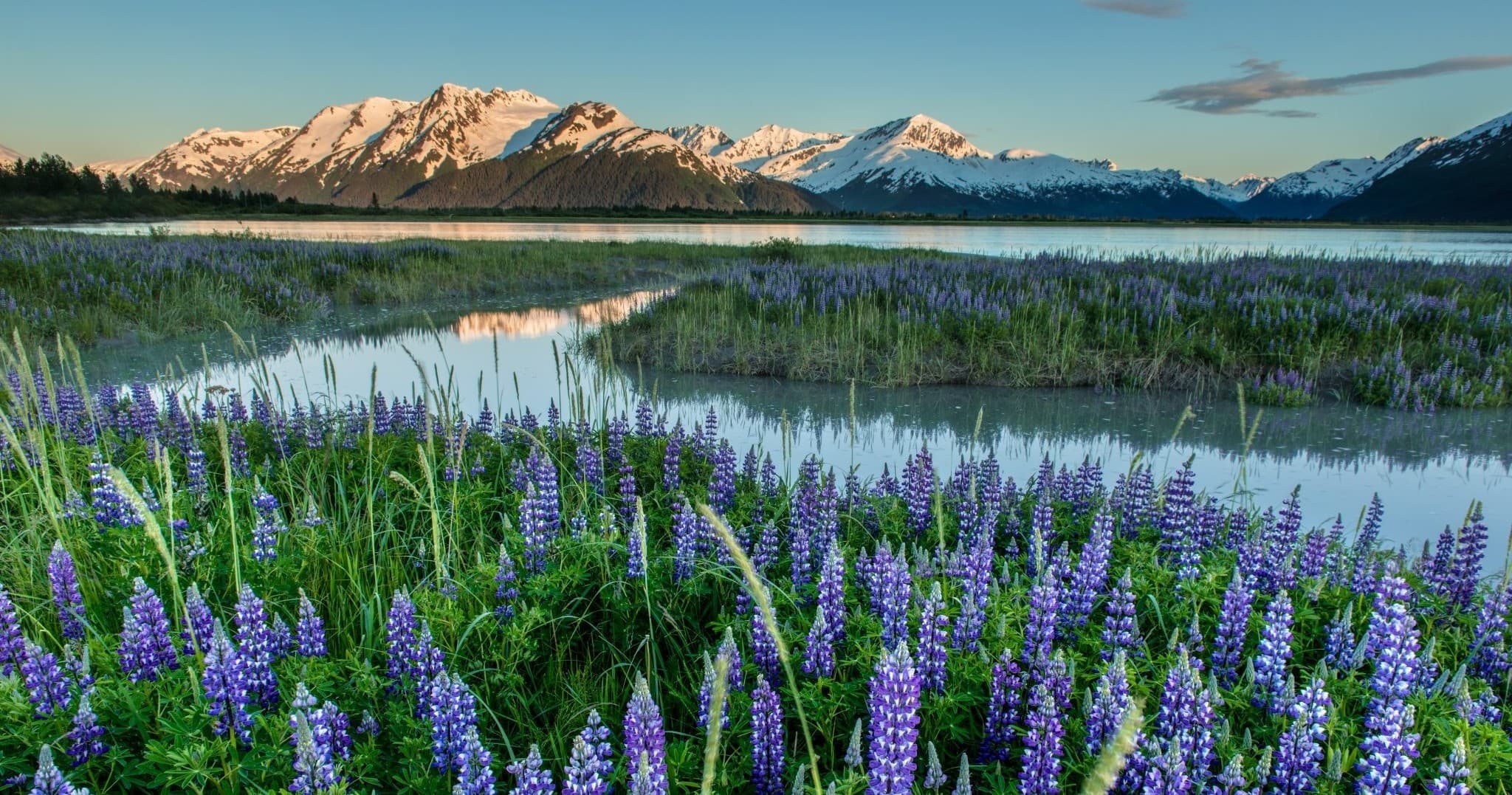 Turnagain Arm Highlights
