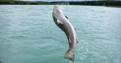 3/4 Day River Fishing Trip Private Charter