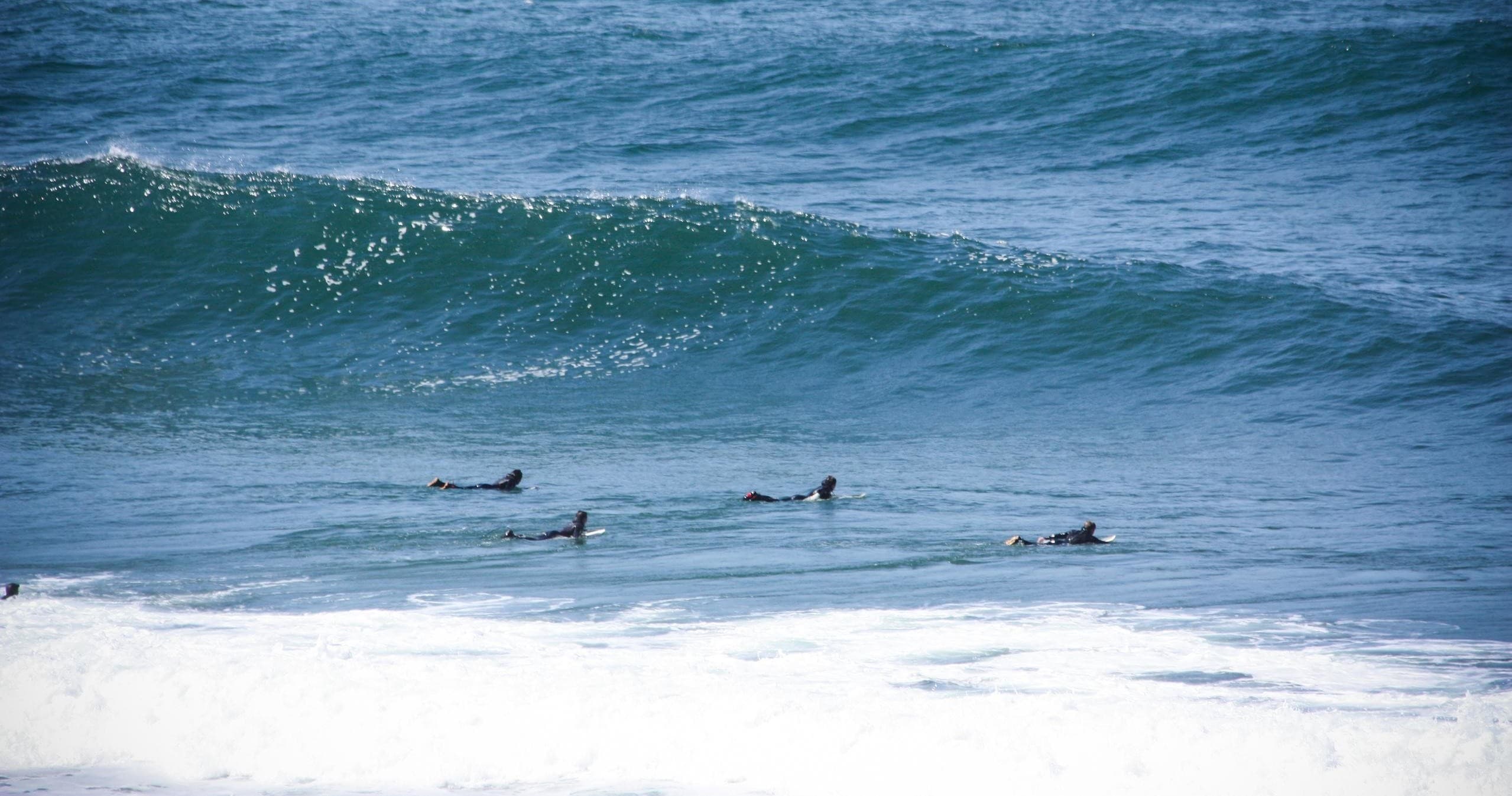 Boogie Board Rental Package