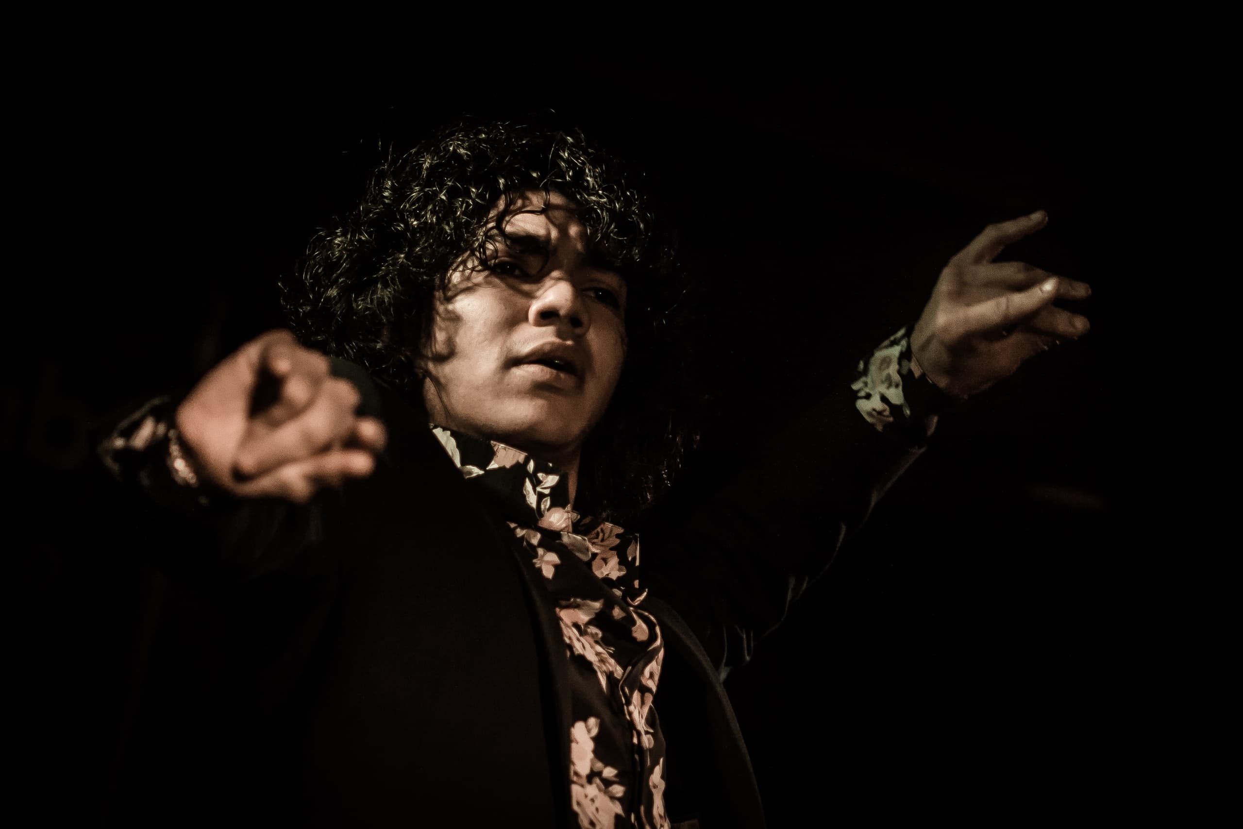 Espectáculo Flamenco con Tabla de Ibéricos y Quesos - 2 Personas